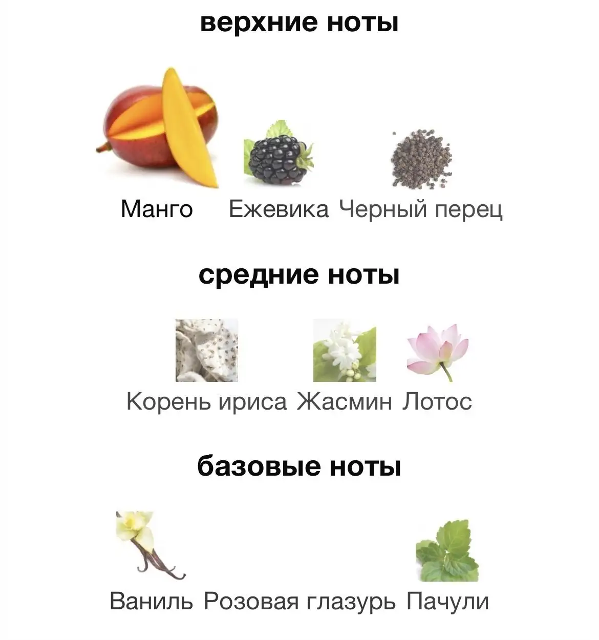 Vilhelm Parfumerie Mango Skin 