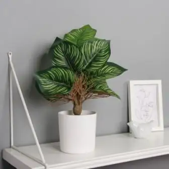 Изображение загружено обработкой обмена