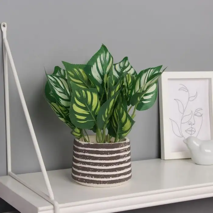 Изображение загружено обработкой обмена