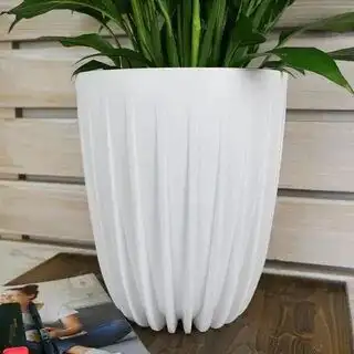 К486530_01