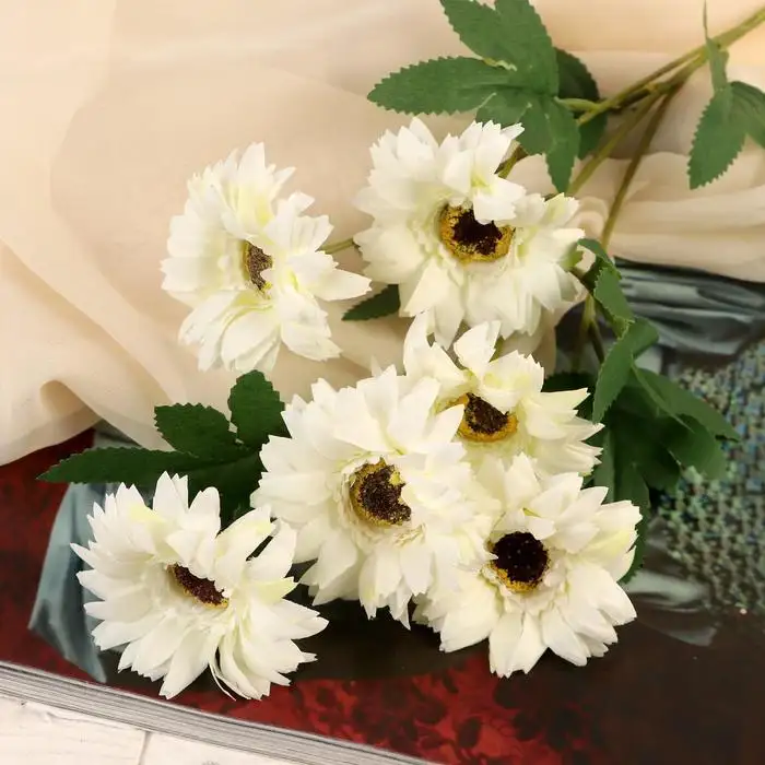 Изображение загружено обработкой обмена