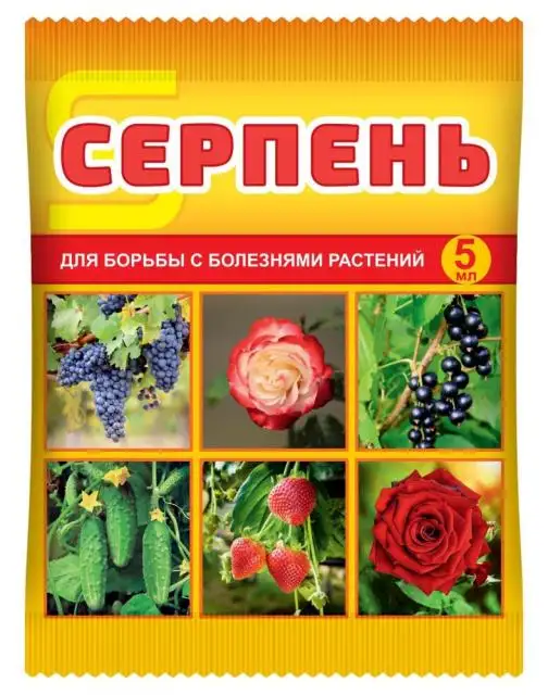 Изображение загружено обработкой обмена