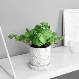 Изображение загружено обработкой обмена