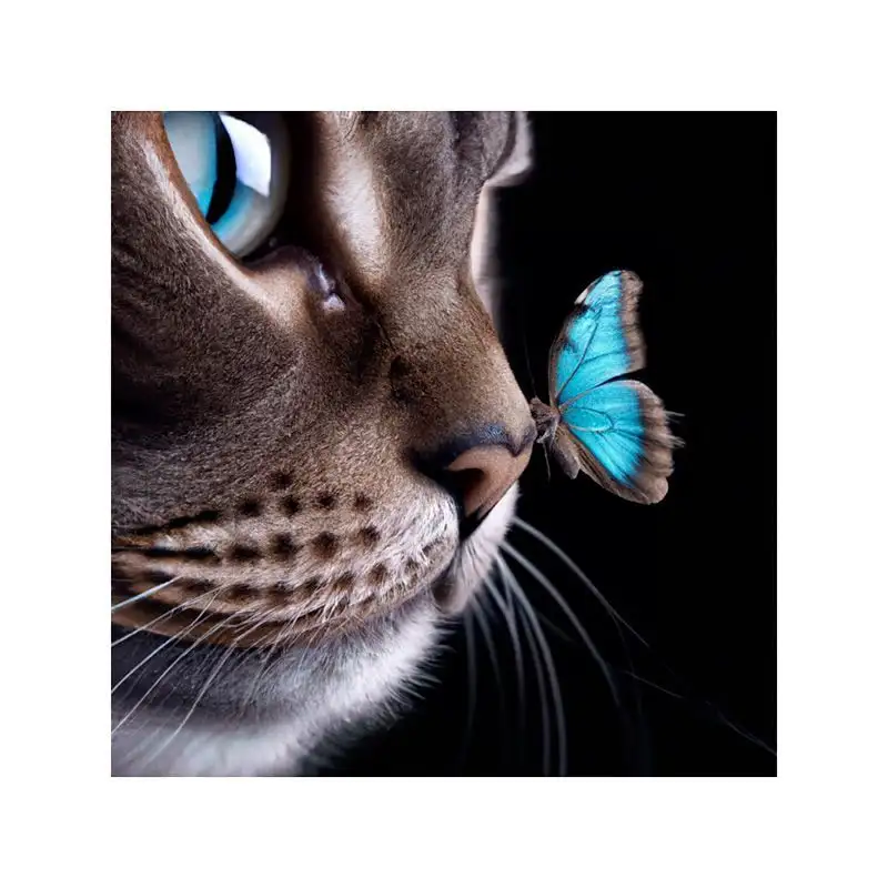 Изображение загружено обработкой обмена