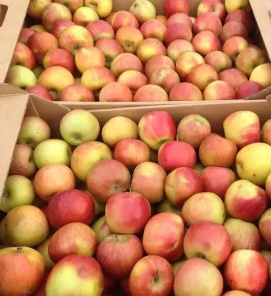 Изображение загружено обработкой обмена