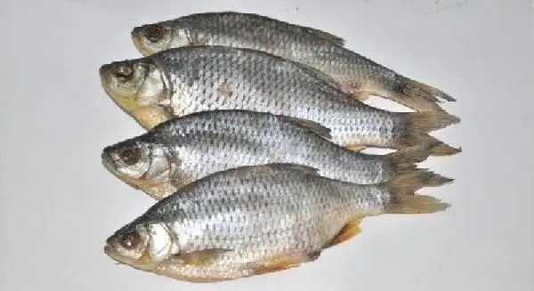 Изображение загружено обработкой обмена