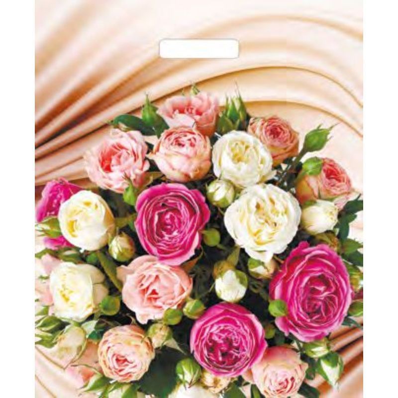 Изображение загружено обработкой обмена