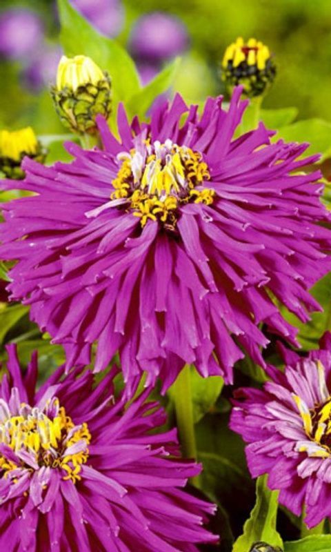 Изображение загружено обработкой обмена