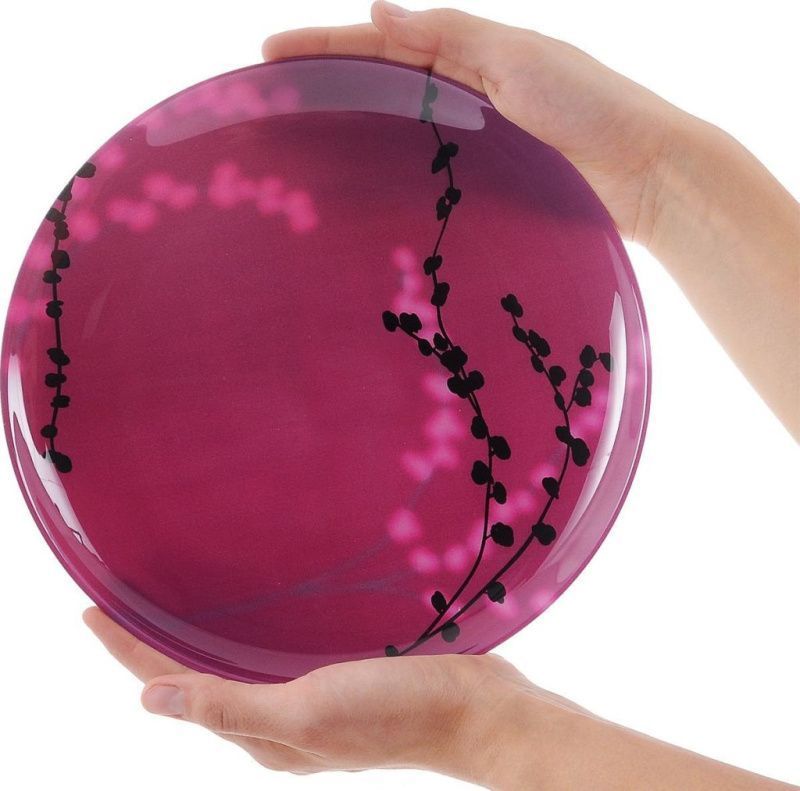 Изображение загружено обработкой обмена