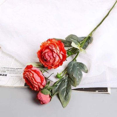 Изображение загружено обработкой обмена