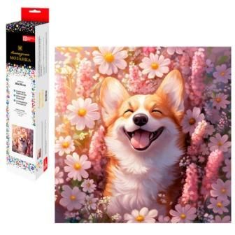 Изображение загружено обработкой обмена