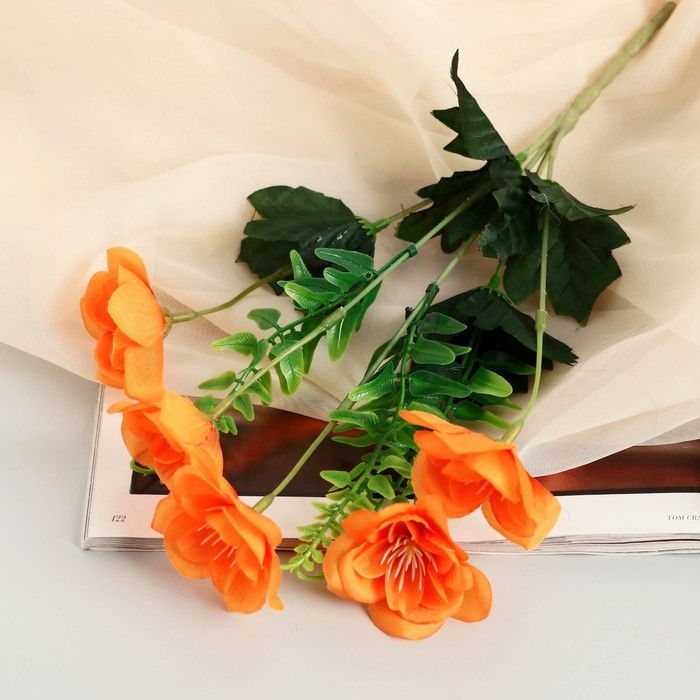 Изображение загружено обработкой обмена