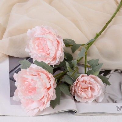 Изображение загружено обработкой обмена