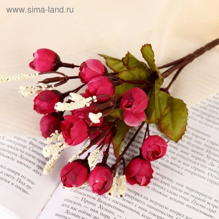 Изображение загружено обработкой обмена