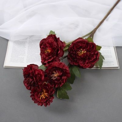 Изображение загружено обработкой обмена