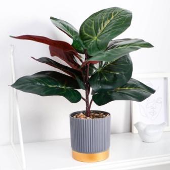 Изображение загружено обработкой обмена