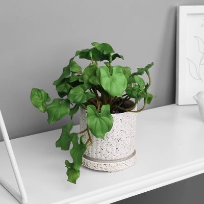 Изображение загружено обработкой обмена