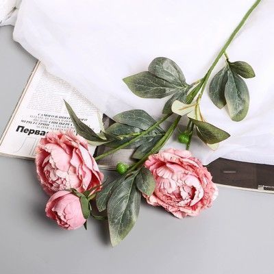 Изображение загружено обработкой обмена