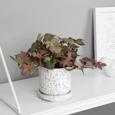 Изображение загружено обработкой обмена