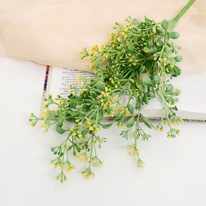 Изображение загружено обработкой обмена