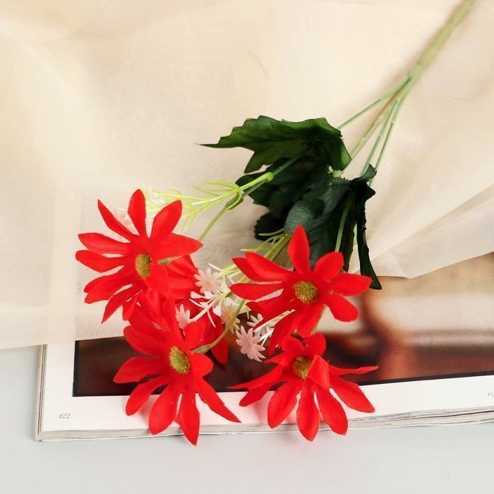 Изображение загружено обработкой обмена