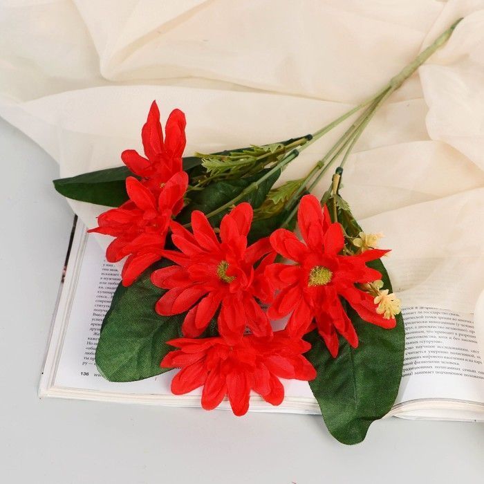 Изображение загружено обработкой обмена