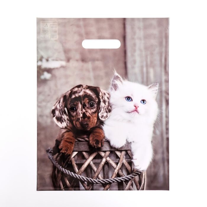 Изображение загружено обработкой обмена