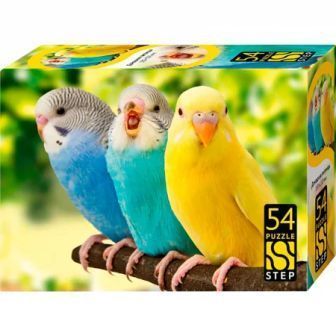 Изображение загружено обработкой обмена