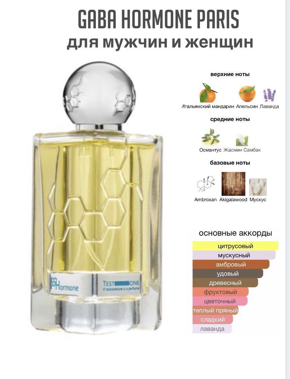 GABA HORMONE PARIS This Is Not