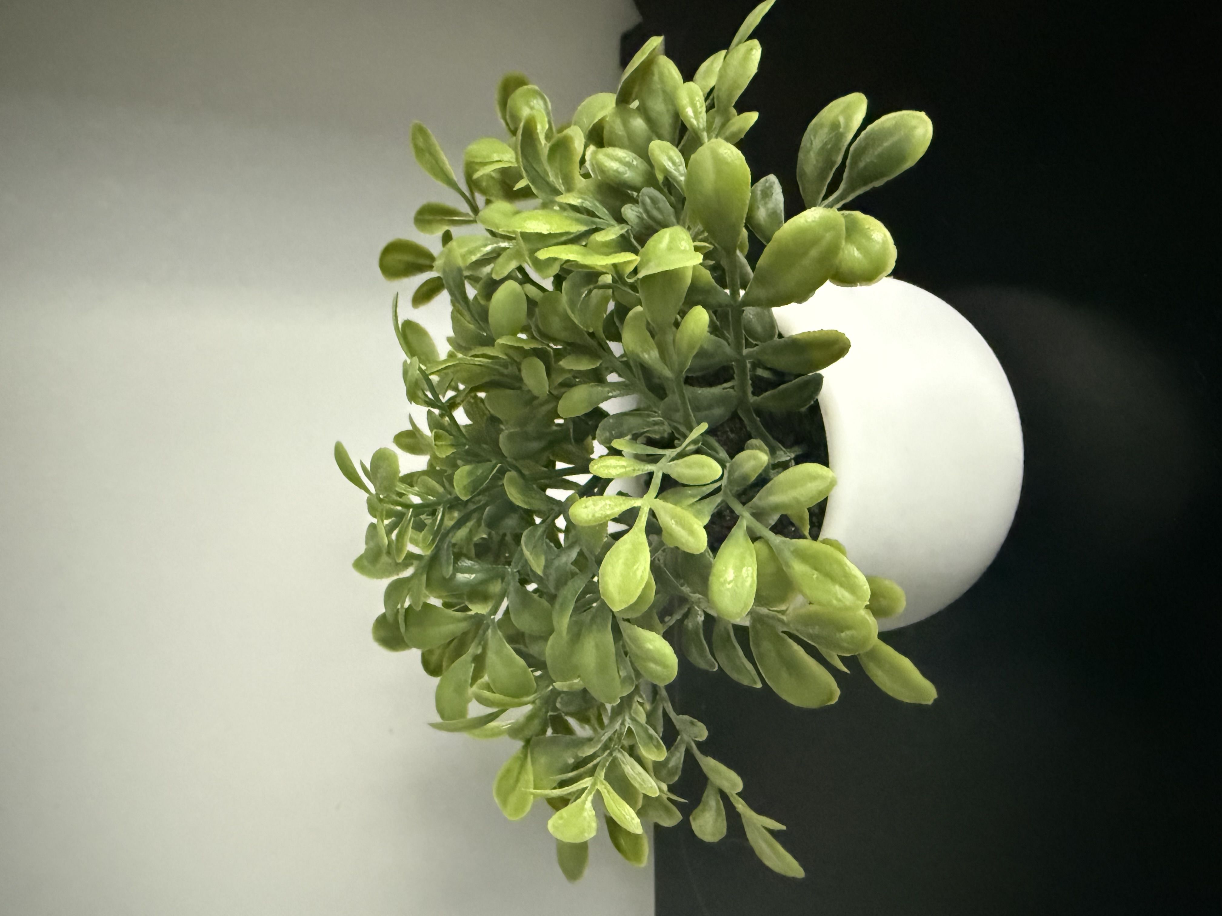 Цветочная композиция