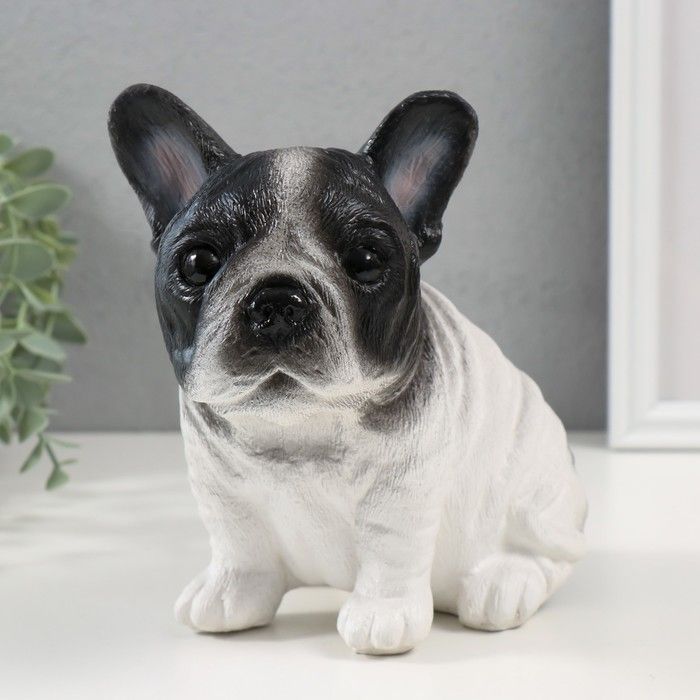 Изображение загружено обработкой обмена