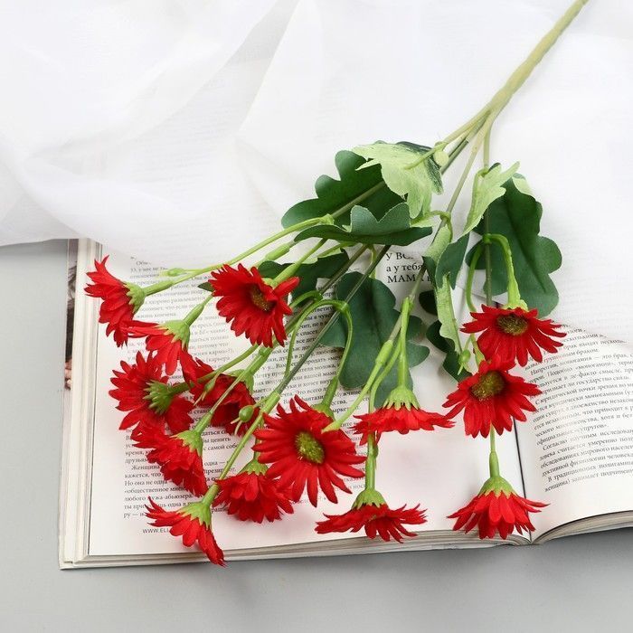 Изображение загружено обработкой обмена