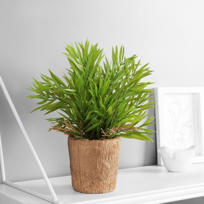 Изображение загружено обработкой обмена