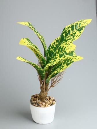 Изображение загружено обработкой обмена