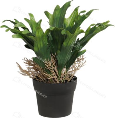 Изображение загружено обработкой обмена