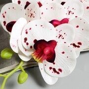 Изображение загружено обработкой обмена