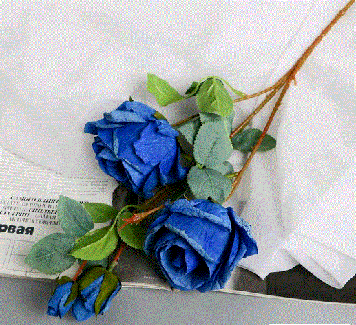 Изображение загружено обработкой обмена