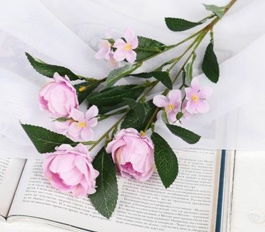 Изображение загружено обработкой обмена