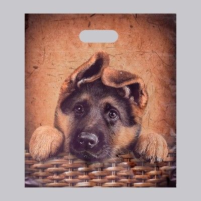 Изображение загружено обработкой обмена