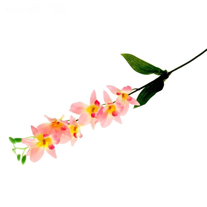 Изображение загружено обработкой обмена