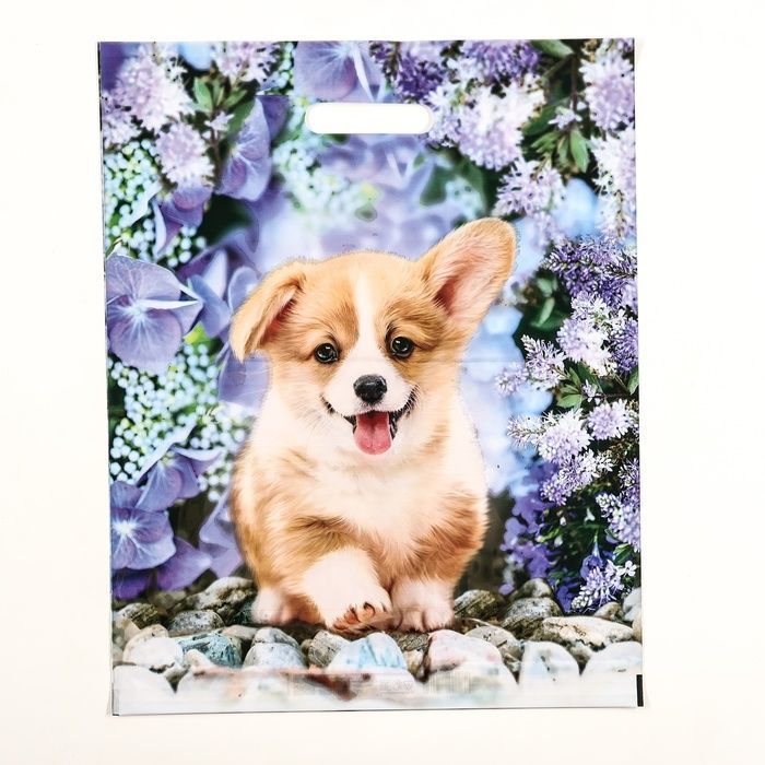 Изображение загружено обработкой обмена