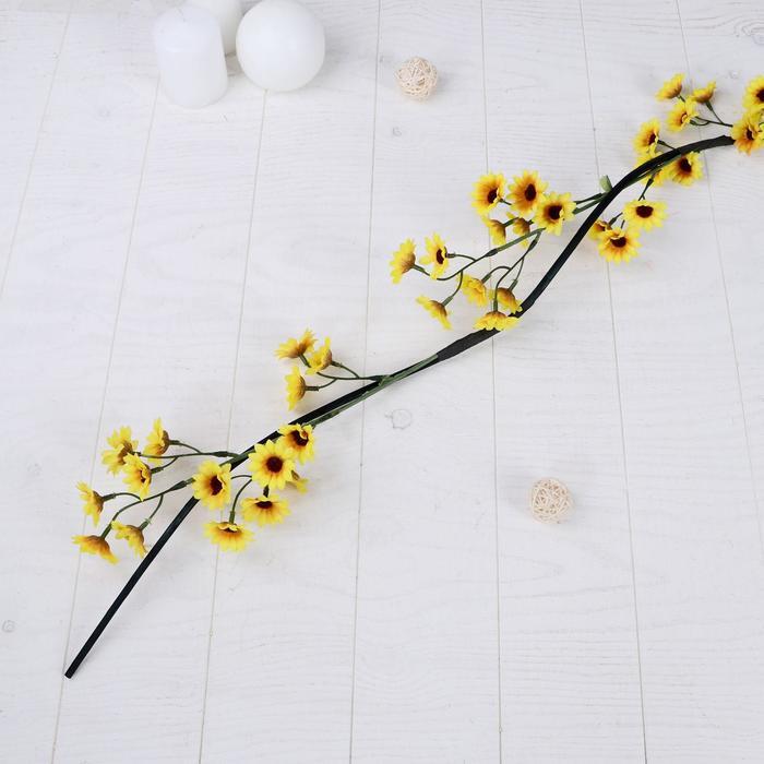 Изображение загружено обработкой обмена