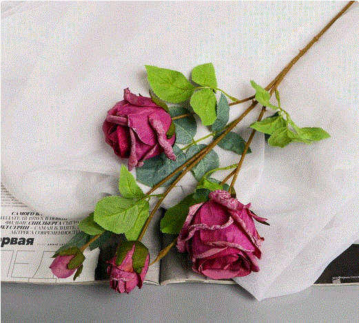 Изображение загружено обработкой обмена