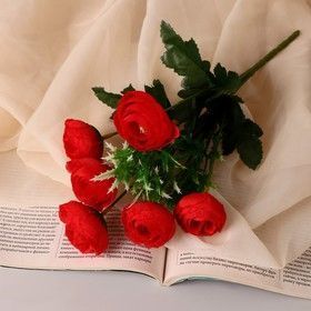 Изображение загружено обработкой обмена