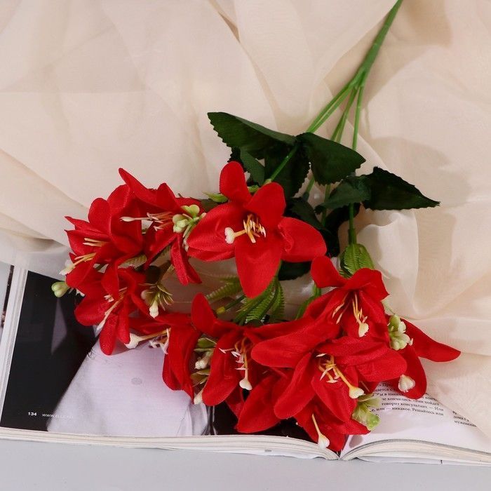 Изображение загружено обработкой обмена