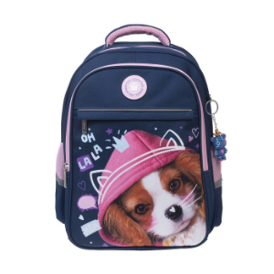 Изображение загружено обработкой обмена