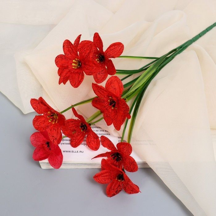 Изображение загружено обработкой обмена