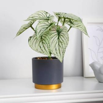 Изображение загружено обработкой обмена