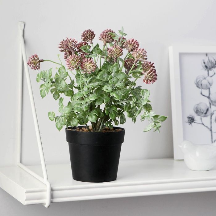 Изображение загружено обработкой обмена